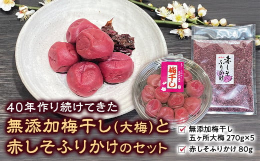 40年作り続けてきた無添加多気町産南高梅干しと季節の食べ物セット 数量限定 梅干 うめぼし しょっぱい すっぱい 紫蘇 シソ しそ 紅生姜 紅ショウガ 紅しょうが 塩漬け 漬物 お漬物 ジャム ジュース 三重県 多気町 TH‐04