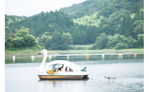 みんなで楽しいBBQをご自宅でも！大人気の松阪牛BBQセット（2人前）焼肉 焼き野菜 タレ付き GF-24  国産牛 和牛 ブランド牛 JGAP家畜・畜産物 農場HACCP認証農場 牛肉 肉 高級 人気 おすすめ 神戸牛 近江牛 に並ぶ 日本三大和牛 松阪 松坂牛 松坂 赤身 焼肉  セット2人前 三重県 多気町