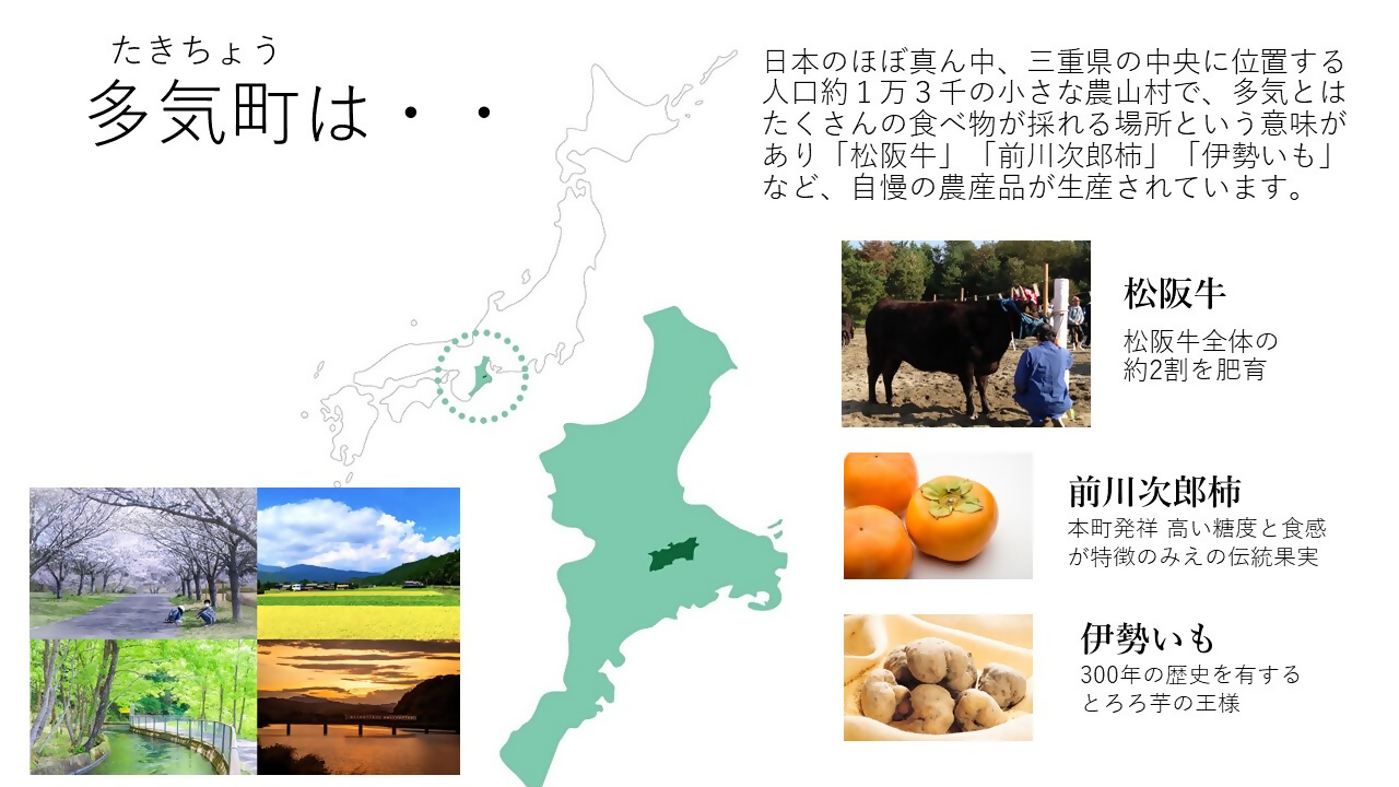 店主気まぐれ「パン」の詰め合わせセット 10種類以上 国産小麦 国産 自家製酵母 パン詰め合わせ 三重県 多気町 NT-01