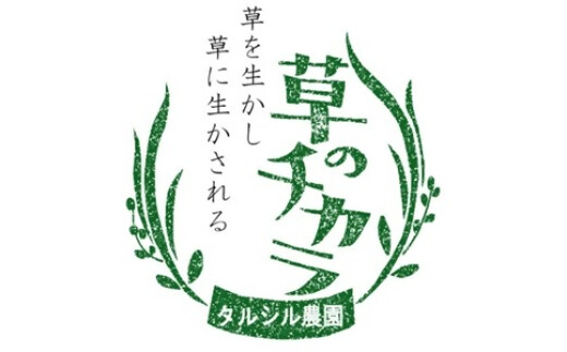【無農薬セット】草の堆肥と雨水だけの自然栽培で育てた旬の固定種野菜セット　【TSN-01】