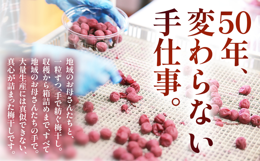 40年作り続けてきた無添加多気町産南高梅干しと季節の食べ物セット  梅 梅干 うめぼし しょっぱい すっぱい 紫蘇 シソ しそ 紅生姜 紅ショウガ 紅しょうが 塩漬け 漬物 お漬物 ジャム ジュース 三重県 多気町 TH-04