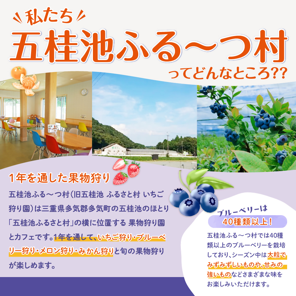 無農薬栽 冷凍完熟ブルーベリー1kg  果物 くだもの フルーツ 完熟 冷凍 ブルーベリー ジャム ピューレー スムージー シロップ 国産 農薬無使用 おいしい ビタミン 食物繊維 ミネラル 三重県 多気町 FR-01