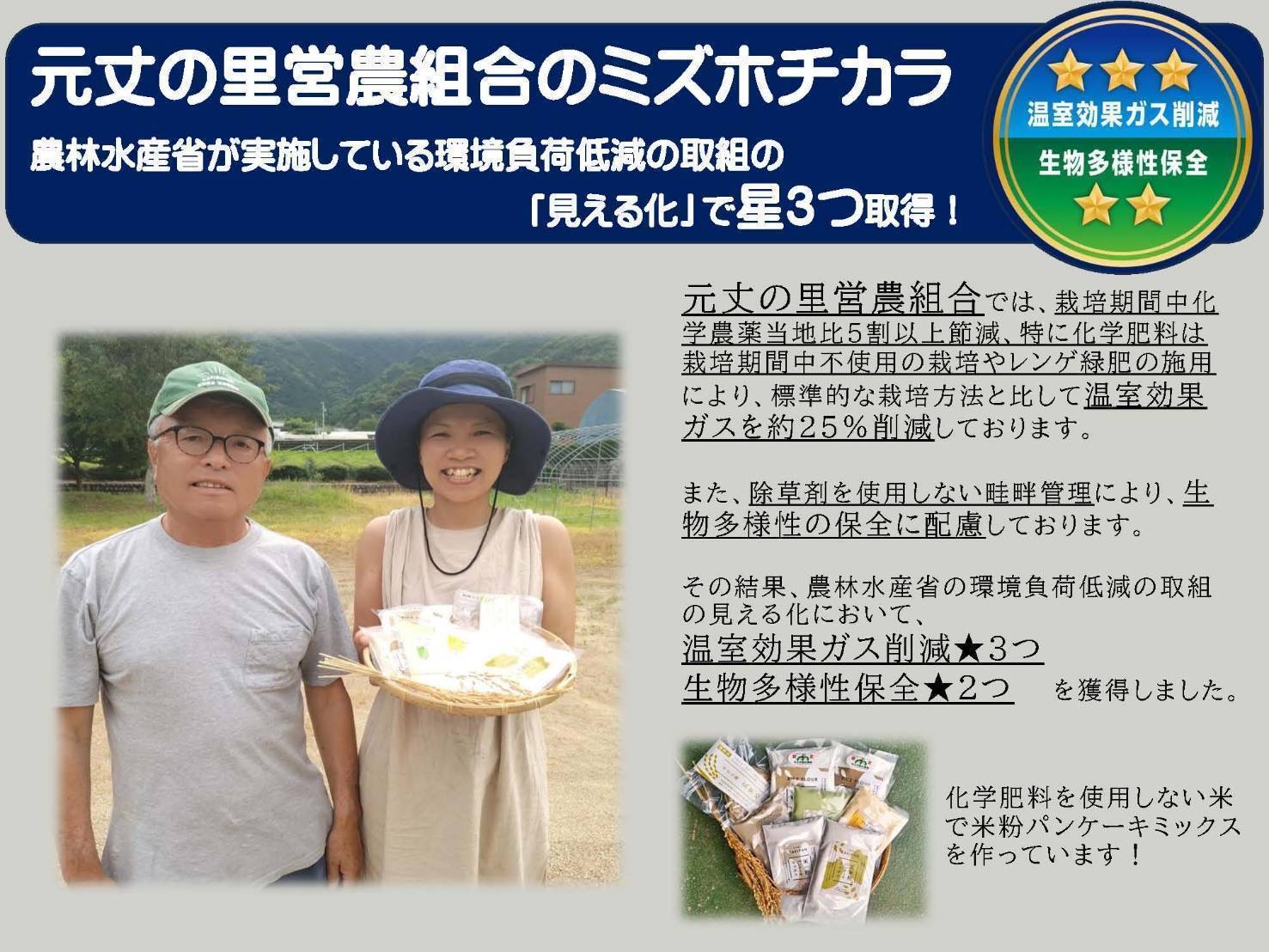 GE-06　ビタミン・ミネラル豊富な栄養食！グルテンフリーの平打ち玄米麺６袋