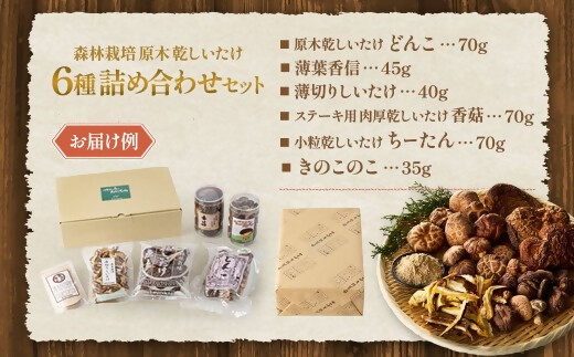 完全無農薬！ 森林栽培原木 乾しいたけ ６種 詰め合わせセット【月20個限定】 YZ-021