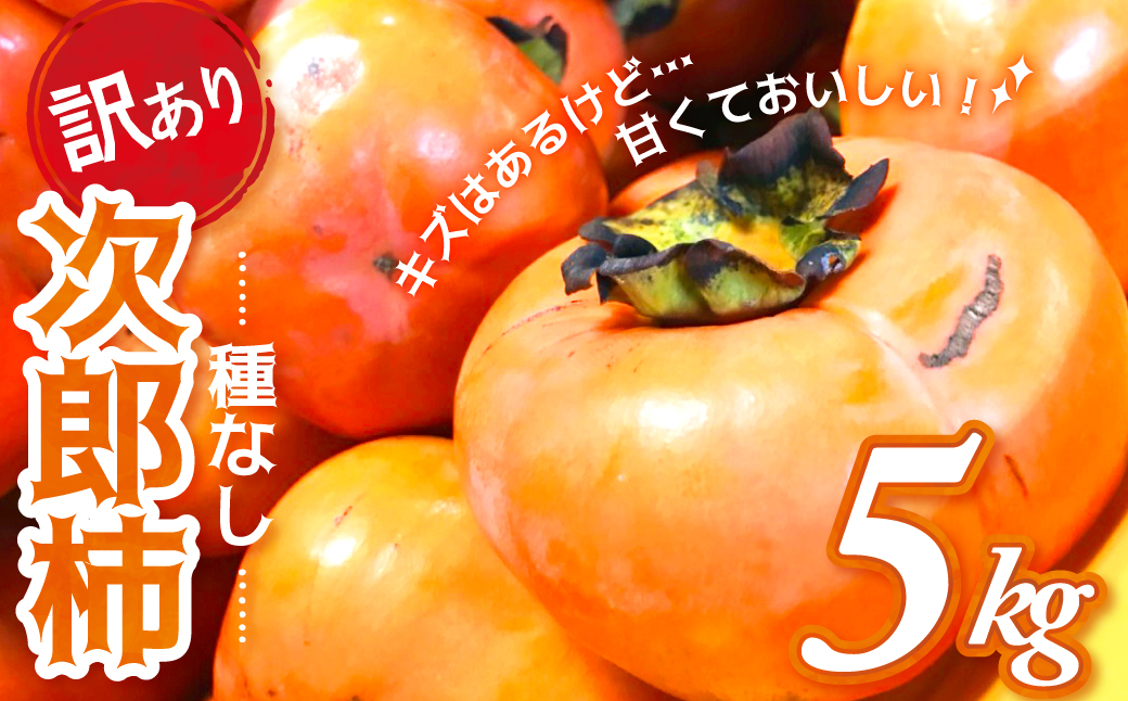 【令和7年産柿/先行予約】《 訳あり 》5㎏ 次郎柿 たねなし 柿 かき フルーツ 家庭用 訳あり 規格外 わけあり 不揃い ふぞろい 種なし 干し柿 先行 先行予約 三重県 多気町 GF-17