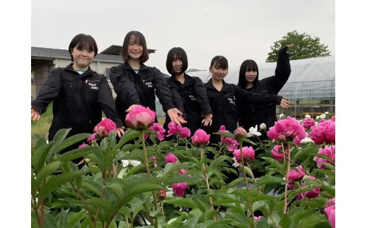 高校生が自然素材を使用してつくった石けんとバスボムセット　自然　コスメ　シャクヤク　芍薬　スキンケア　【ON-07】