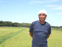 TC-0412　特別栽培米の新米ミルキークイーン10㎏ （12月発送分）