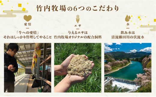 WT-05ãæŸéªç ããŒã¹ ã¹ããŒã 500g(250gÃ2) åœç£ç åç ãã©ã³ãç æŸéªç JGAPå®¶çã»çç£ç© èŸ²å ŽHACCPèªèšŒèŸ²å Ž çè è é«çŽ äººæ° ãããã ç¥æžç è¿æ±ç ã«äžŠã¶ æ¥æ¬äžå€§åç æŸéª æŸåç æŸå åœç£ ééã å·å äžéç 倿°çº
