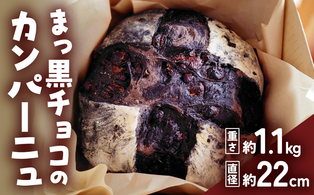 自家製天然酵母を使ったまっ黒チョコのカンパーニュ　【HTR-01】