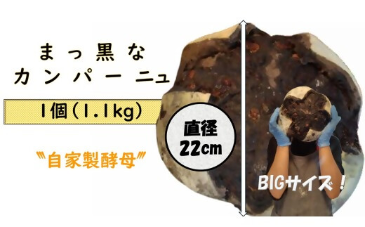 自家製天然酵母を使ったまっ黒チョコのカンパーニュ　【HTR-01】