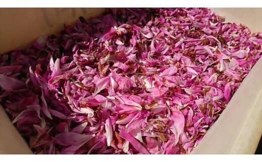 高校生が自然素材を使用してつくった石けんとバスボムセット　自然　コスメ　シャクヤク　芍薬　スキンケア　【ON-07】