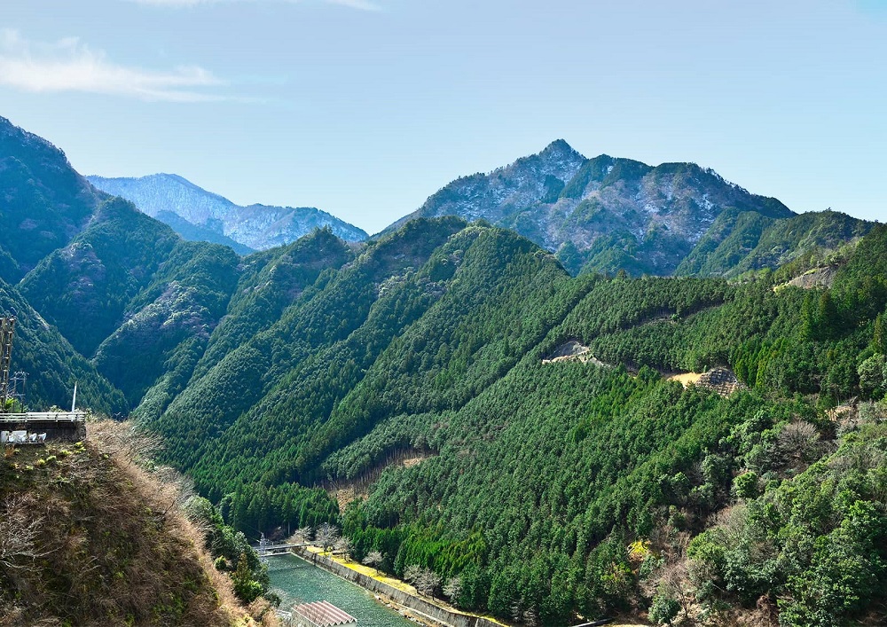 æ¥æ¬é
ãçŠåèµãçŽç±³å€§åéžã720ml é
æ¥æ¬é
same SAKE ãã é
çŽç±³ 倧åéž ã³ã¡ ç±³ ãç±³ ã¢ã«ã³ãŒã« ãããã ãåãå¯ã ãã¬ãŒã³ã èŽç èŽãç© å¹Žæ«å¹Žå§ ãèªå®
çš å®
飲ã¿ãIM-03ã