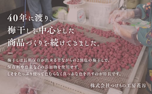 40年作り続けてきた無添加多気町産南高梅干しと季節の食べ物セット 数量限定 梅干 うめぼし しょっぱい すっぱい 紫蘇 シソ しそ 紅生姜 紅ショウガ 紅しょうが 塩漬け 漬物 お漬物 ジャム ジュース 三重県 多気町 TH‐04