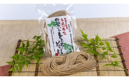 GF-21　伊勢いも入り手延べ半生とろろそば