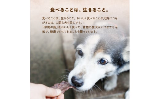 愛犬用 伊勢の鹿 ジャーキー  お試しセット 3種 ペット ペットフード 犬 おやつ 犬のおやつ 犬用 三重県 多気町 PB-02