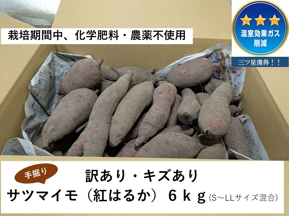 竕ェ險ウ縺ゅj竕ォ 譬ス蝓ケ譛滄俣荳ュ縲∝喧蟄ヲ閧・譁吶サ霎イ阮ャ荳堺スソ逕ィ縲貂ゥ螳、蜉ケ譫懊ぎ繧ケ蜑頑ク帙↓雋「迪ョ縺励↑縺後i縲√ョ縺ゥ縺九↑逡代〒螟ァ蛻縺ォ閧イ縺ヲ縺溘繧ュ繧コ縺ゅj縲繧オ繝繝槭う繝「シ育エ縺ッ繧九°シ会シ厄ス具ス縲Sス朖L繧オ繧、繧コ豺キ蜷 MF-01