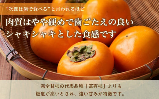 【令和7年産柿/先行予約】《 訳あり 》5㎏ 次郎柿 たねなし 柿 かき フルーツ 家庭用 訳あり 規格外 わけあり 不揃い ふぞろい 種なし 干し柿 先行 先行予約 三重県 多気町 GF-17