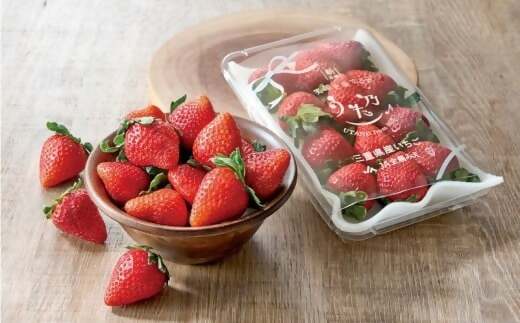 三重県オリジナルいちご新品種　希少な「うた乃」　500ｇ（250ｇ×2）　YMS-01　いちご　イチゴ　苺　希少　品種　酸味　少ない　甘さ　強い