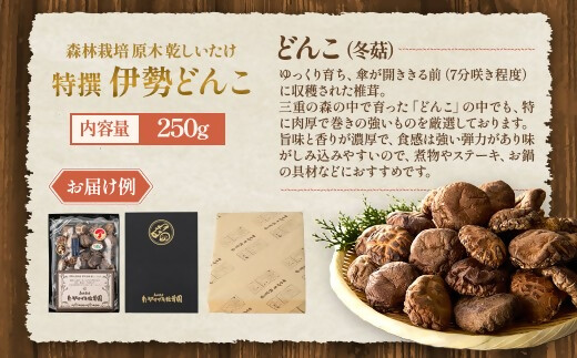 完全無農薬！ 森林栽培原木 乾しいたけ 「特撰・伊勢どんこ」 250g 【月20個限定】 YZ-011