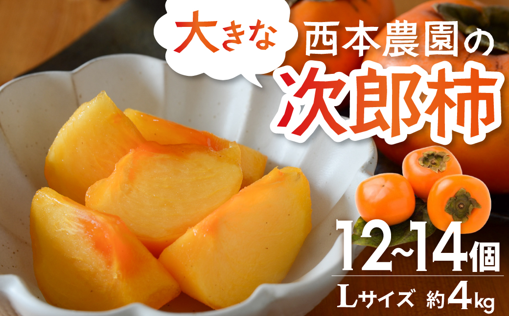 【令和8年産柿/先行予約】西本農園の次郎柿 4kg Lサイズ 12～14個 次郎柿 たねなし 柿 かき フルーツ 種なし 干し柿 予約 先行 先行予約 三重県 多気町 NS-01