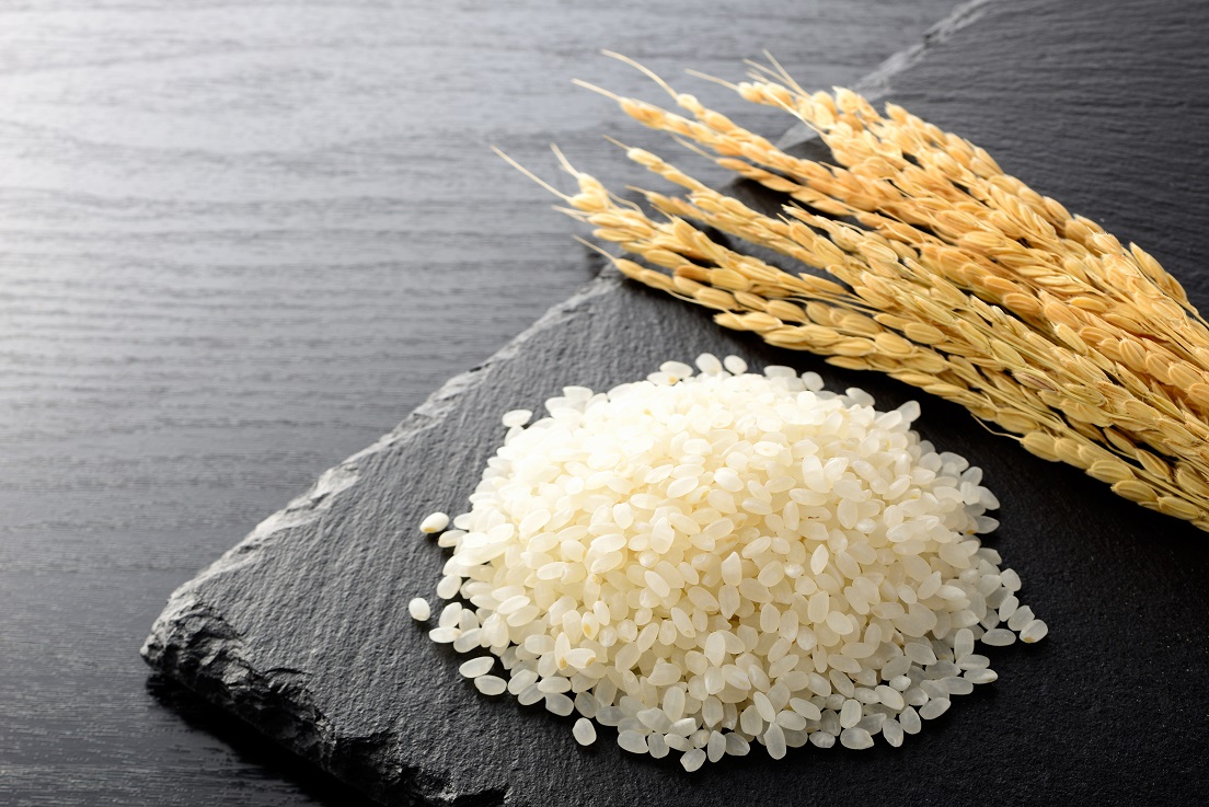 【令和7年産米】有機たい肥で育てた門外不出のコシヒカリ10ｋｇ 精米 白米 10kg 5kg 国産 ごはん 人気 おすすめ  三重県 多気町 NK-02