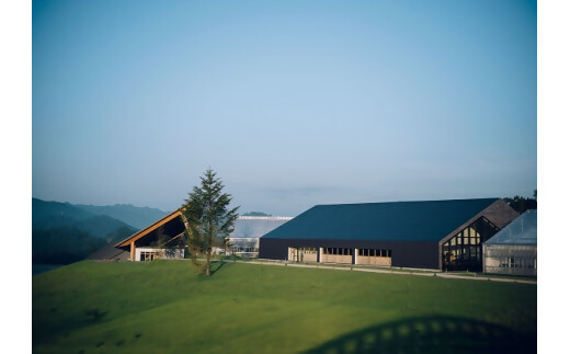 日本唯一の「バスクチーズタルト専門店」Egun onが届けるする　バスクチーズタルト オリジナル 6個　スイーツ お菓子 贈答品 贈答用 ギフト 三重県 多気町   エグノン　VT-84