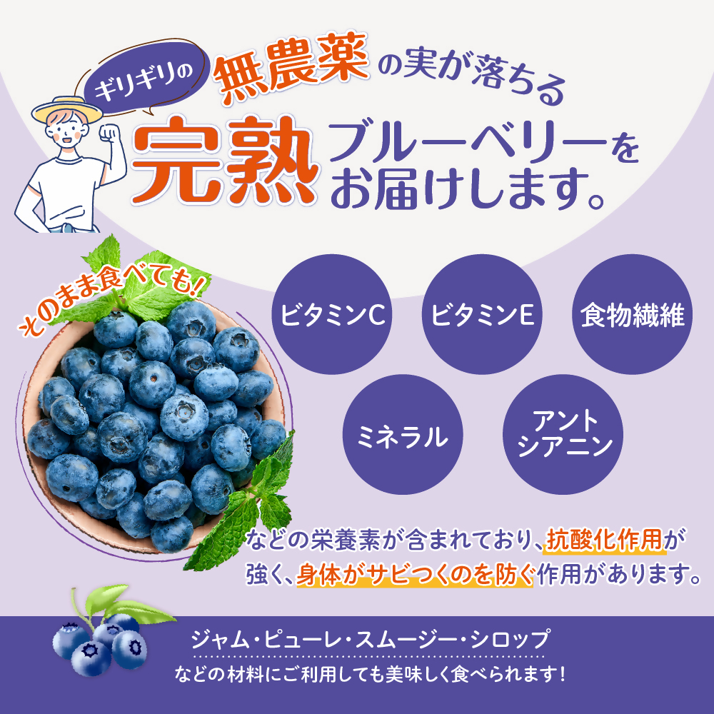 無農薬栽 冷凍完熟ブルーベリー1kg  果物 くだもの フルーツ 完熟 冷凍 ブルーベリー ジャム ピューレー スムージー シロップ 国産 農薬無使用 おいしい ビタミン 食物繊維 ミネラル 三重県 多気町 FR-01