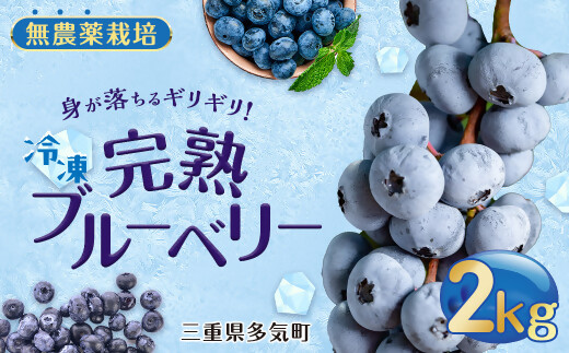 無農薬栽培 冷凍完熟ブルーベリー2kg  果物 くだもの フルーツ 完熟 冷凍 ブルーベリー ジャム ピューレー スムージー シロップ 国産 農薬無使用 おいしい ビタミン 食物繊維 ミネラル 三重県 多気町 FR-02
