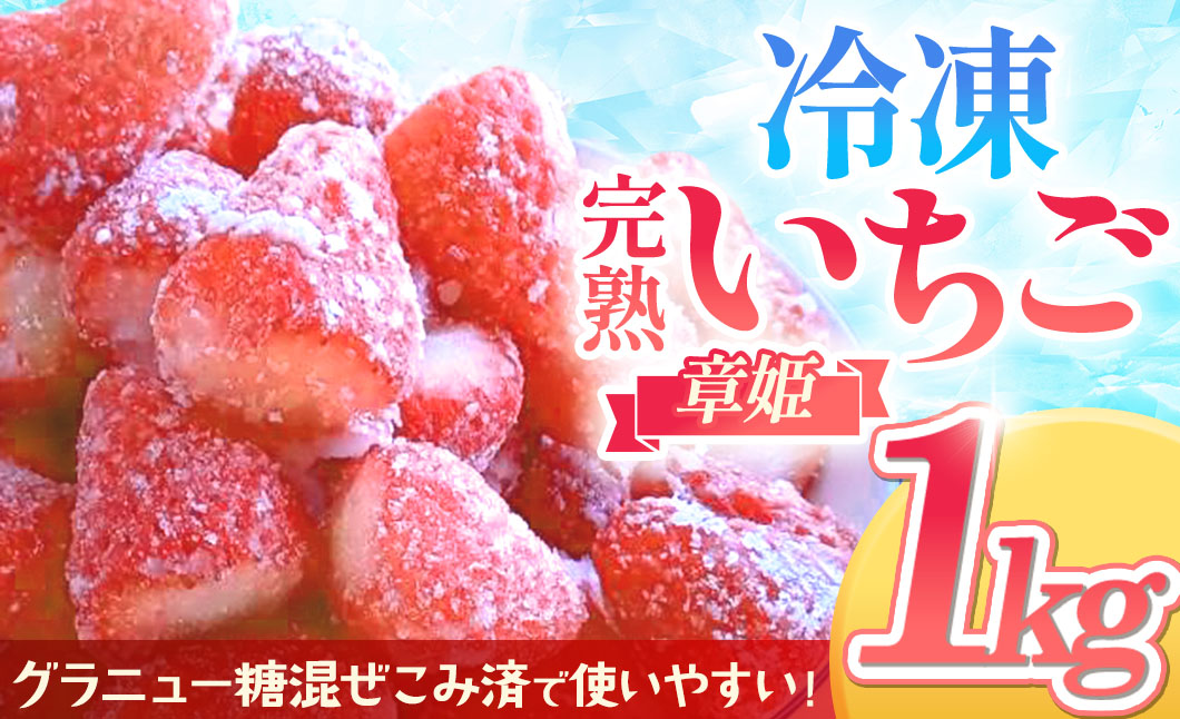 冷凍完熟手摘みいちご（章姫）不揃い 1kg 砂糖入り 農園直送 イチゴ 苺 冷凍いちご 果物 スイーツ デザート フルーツ アイス ジャム シャーベット ベリー 氷菓 甘い 果実 あまい 三重県 多気町 FR-13