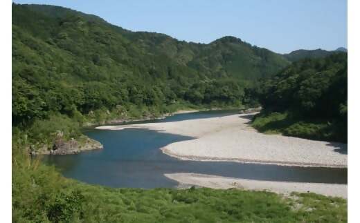 【高島屋選定品】＜うおすけ＞鮎・子持鮎甘露煮詰合せ　ＵT－０２ TSY-02-02