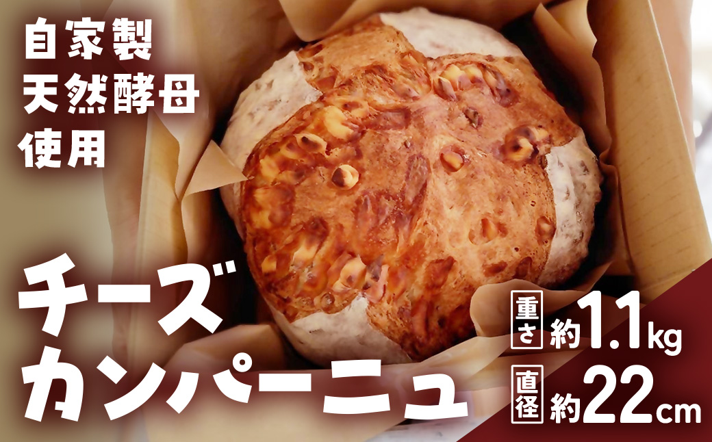 自家製天然酵母を使ったチーズカンパーニュ　【HTR-02】