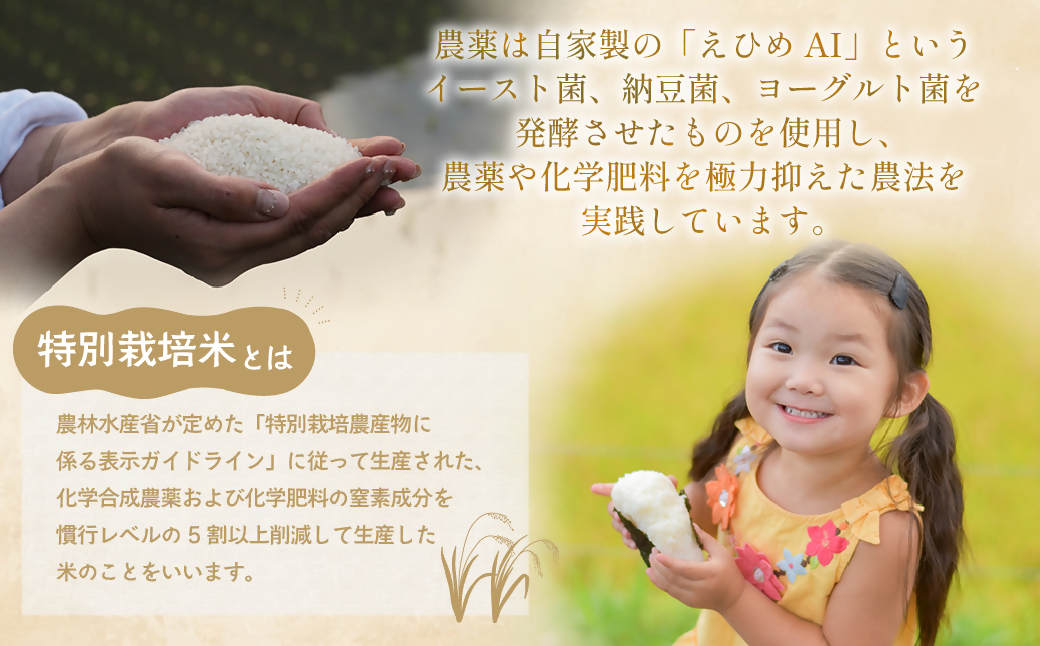 縲11譛育匱騾∽コ亥ョ壹台サ、蜥8蟷エ逕」譁ー邀ウ 迚ケ蛻・譬ス蝓ケ邀ウ 蠕ェ迺ー蝙玖セイ讌ュ縺ァ菴懊▲縺溘後↓縺倥ョ縺阪i繧√″縲10kg (5kgテ2) 邀ウ 繧ウ繝。 縺薙a 迚ケ蛻・譬ス蝓ケ 蜈郁。 蜈郁。御コ育エ 邊セ邀ウ 逋ス邀ウ 莠コ豌 縺翫☆縺吶a 5kg 荳蛾咲恁 螟壽ー礼伴 TC窶0611