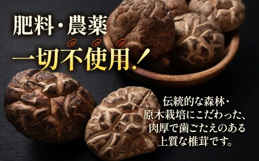 完全無農薬！ 森林栽培原木 乾しいたけ ６種 詰め合わせセット【月20個限定】 YZ-021