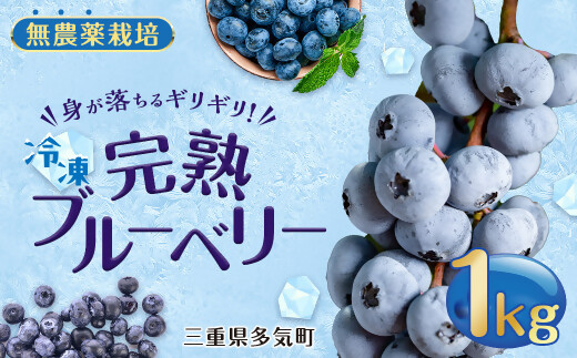 無農薬栽 冷凍完熟ブルーベリー1kg  果物 くだもの フルーツ 完熟 冷凍 ブルーベリー ジャム ピューレー スムージー シロップ 国産 農薬無使用 おいしい ビタミン 食物繊維 ミネラル 三重県 多気町 FR-01