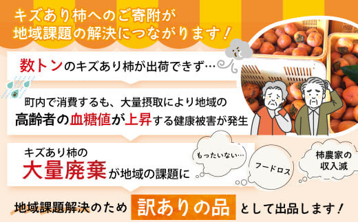  【令和7年産柿/先行予約】優しい農園の訳あり次郎柿 10kg 次郎柿 たねなし 柿 かき フルーツ 家庭用 訳あり 規格外 わけあり 不揃い ふぞろい 種なし 干し柿 先行 先行予約 三重県 多気町 YSN-01　