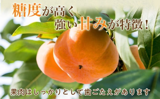 【令和7年産柿/先行予約】《 訳あり 》5㎏ 次郎柿 たねなし 柿 かき フルーツ 家庭用 訳あり 規格外 わけあり 不揃い ふぞろい 種なし 干し柿 先行 先行予約 三重県 多気町 GF-17