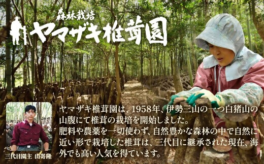 完全無農薬！ 森林栽培原木 乾しいたけ ６種 詰め合わせセット【月20個限定】 YZ-021