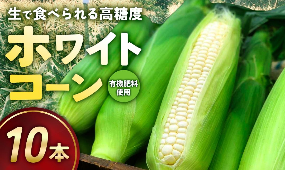 TZM‐01　有機肥料で土づくり　高い糖度が自慢のホワイトコーン　10本（約6kg）