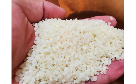 ã什å7幎ç£ç±³ããã«ããŒã¯ã€ãŒã³ 10ã (5ãÃ2) ç±³ ã³ã¡ ã¿ãããŒãããŒã 粟米 çœç±³ 10kg 5kg åœç£ ãã¯ã äººæ° ãããã äžéç 倿°çº NNS-01