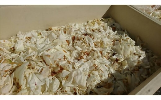 高校生が自然素材を使用してつくった石けんとバスボムセット　自然　コスメ　シャクヤク　芍薬　スキンケア　【ON-07】