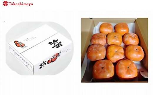 【高島屋選定品】＜中村農園＞三重の安心食材認定　中村農園の次郎柿　大きめサイズ10個（3ｋｇ前後） TSY-05-01