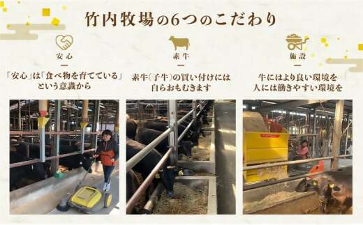 WT-04　松阪牛 ロース 焼き肉用 800g 国産牛 和牛 ブランド牛 松阪牛 JGAP家畜・畜産物 農場HACCP認証農場 牛肉 肉 高級 人気 おすすめ 神戸牛 近江牛 に並ぶ 日本三大和牛 松阪 松坂牛 松坂 国産 霜降り 冷凍 三重県 多気町