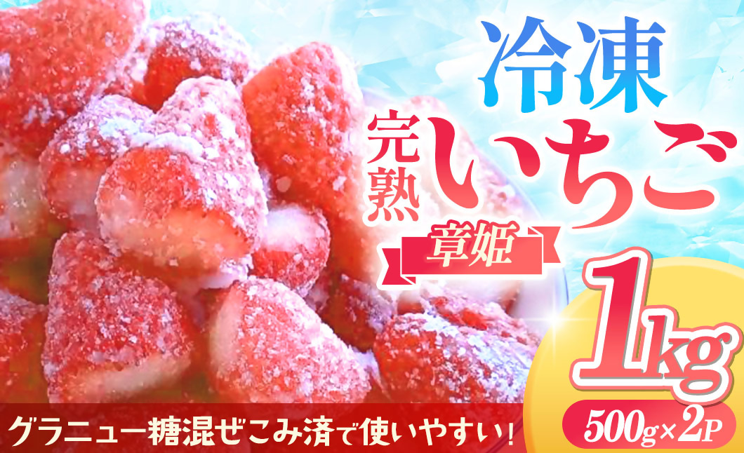 冷凍完熟手摘みいちご（章姫）不揃い 1kg 砂糖入り 農園直送 イチゴ 苺 冷凍いちご 果物 スイーツ デザート フルーツ アイス ジャム シャーベット ベリー 氷菓 甘い 果実 あまい 三重県 多気町 FR-13