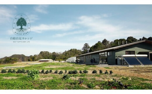 JJC-02èªç¶ã®åŸªç°ãšåãåããã蟲ããçæŽ»ããå§ããŠã¿ãŸãããïŒèªçµŠèªè¶³ã«ã¬ããžVISONæ ¡ã幎éåè¬åž