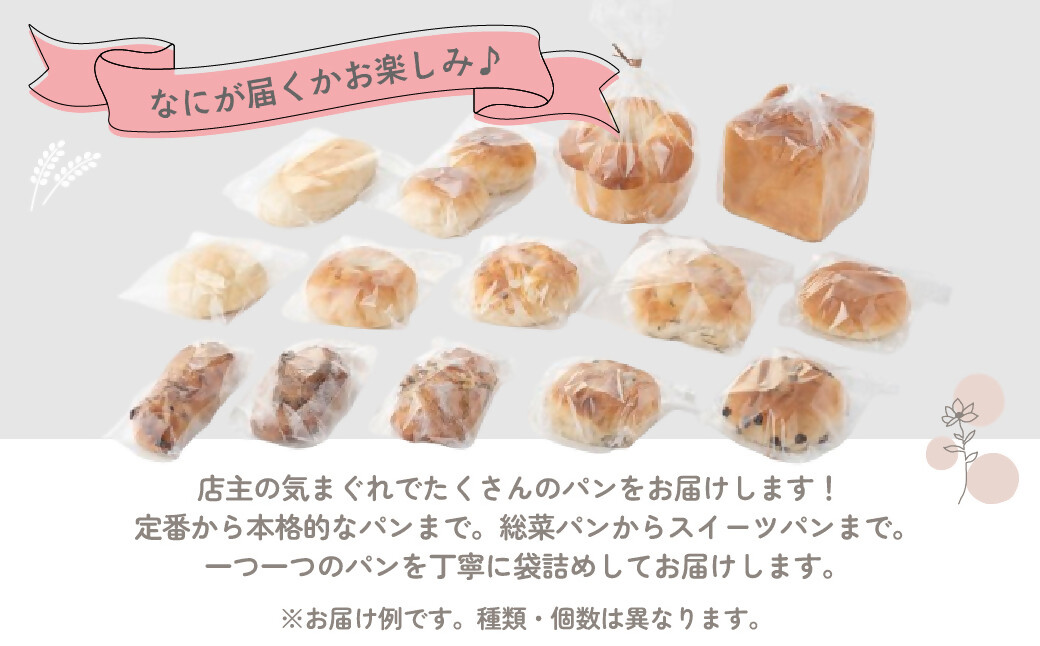 店主気まぐれ「パン」の詰め合わせセット 10種類以上 国産小麦 国産 自家製酵母 パン詰め合わせ 三重県 多気町 NT-01