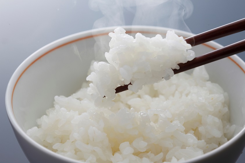 【令和7年産米】有機たい肥で育てた門外不出のコシヒカリ10ｋｇ 精米 白米 10kg 5kg 国産 ごはん 人気 おすすめ  三重県 多気町 NK-02