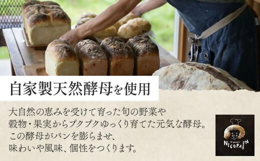 カラダヨロコブ天然酵母のニコパンセットA 天然酵母 無添加 スイーツ お菓子 ギフト お取り寄せ 無農薬 国産 健康 もっちり 詰め合わせ オーガニック 朝食 三重県多気町 NP-01