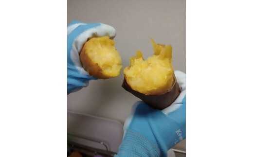 農薬・化学肥料不使用　温室効果ガス削減に貢献しながら、のどかな畑で大切に育てた　熟成　蜜芋　サツマイモ（紅はるか）４ｋｇ　S～LLサイズ混合  TFN-01