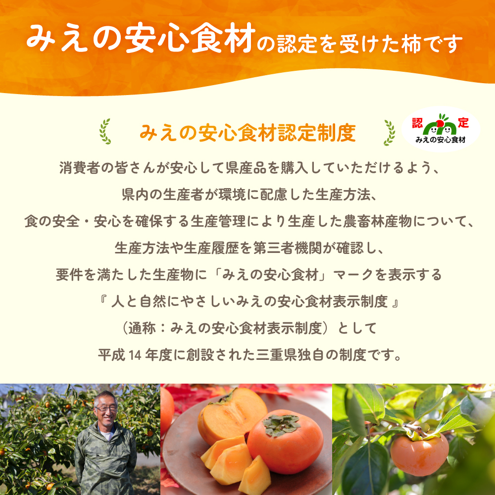 【令和8年産柿/先行予約】三重の安心食材認定！中村農園の次郎柿 M・Lサイズ　22個 (約5～6㎏)　先行予約 先行 予約 柿 カキ かき 減農薬 安心 贈答 果物 くだもの フルーツ 三重県 多気町 NN-03