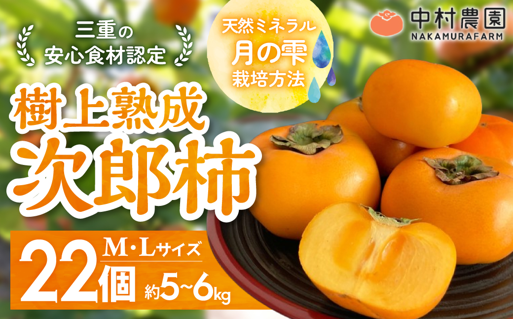 【令和8年産柿/先行予約】三重の安心食材認定！中村農園の次郎柿 M・Lサイズ　22個 (約5～6㎏)　先行予約 先行 予約 柿 カキ かき 減農薬 安心 贈答 果物 くだもの フルーツ 三重県 多気町 NN-03